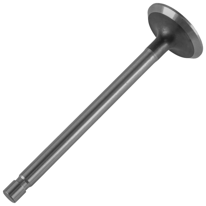 235826-S Kohler Intake Valve - Limited Availability | DRMower.ca