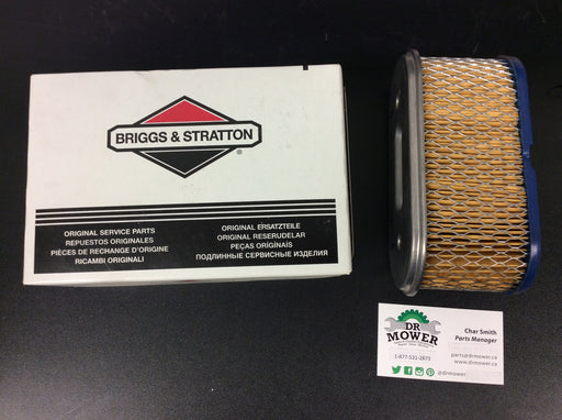 491021 Briggs and Stratton Air Filter Genuine Part